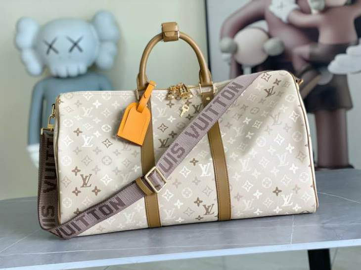Picture of Louis Vuitton Handbags _SKUfw236875107fw